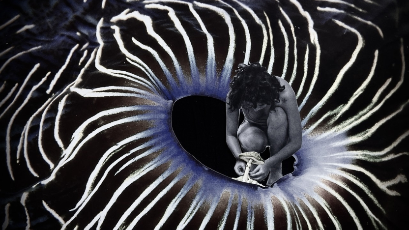 Image from the exhibition 'Nostalgia for the future: traversing the collapse'