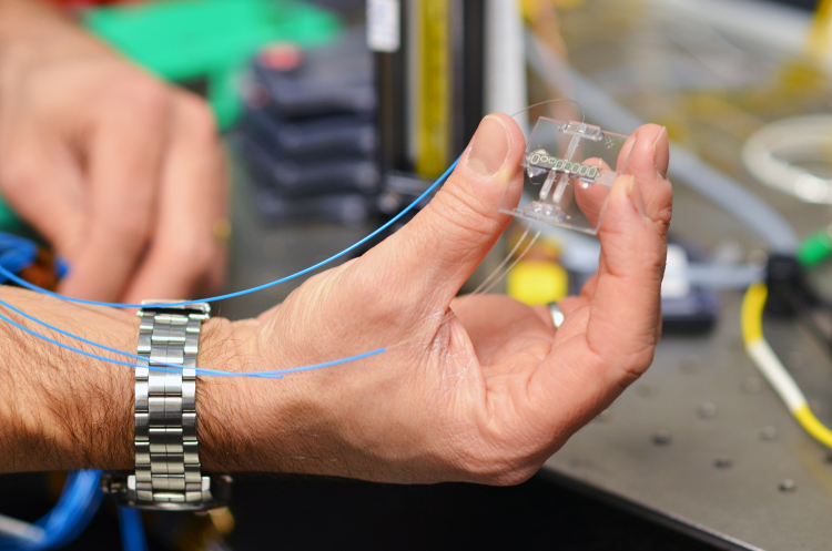 Smart sensors will detect environmental pollution at the speed of light