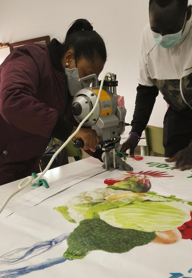 Imatge del projecte dFènix