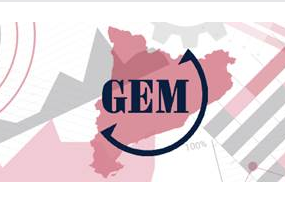 Presentació Informe GEM