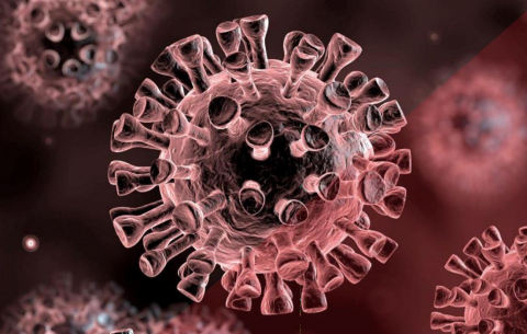 Resultats de l'enquesta sobre l’impacte de la crisi provocada pel Covid-19 a Catalunya