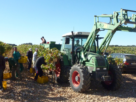 Agricultural Elections 2021 with electronic voting convened