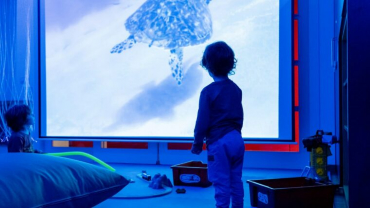 Image of the Guitard Ludoteca