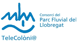 El Punt TIC Telecoloni@ busca un dinamitzador/ora