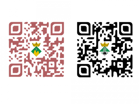 Codis QR