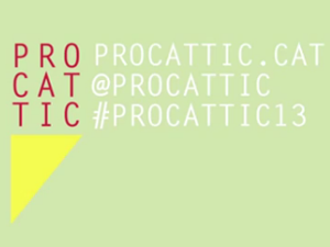 PROCATTIC 2013