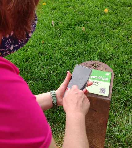 Tallers d’Ecoturisme Urbà a la Seu d'Urgell 